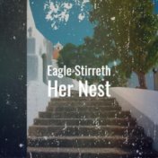 Eagle Stirreth Her Nest