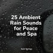 25 Ambient Rain Sounds for Peace and Spa