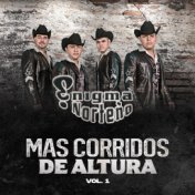 Más Corridos de Altura, Vol. 1