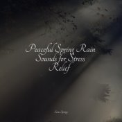 Peaceful Spring Rain Sounds for Stress Relief