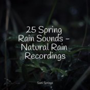 25 Spring Rain Sounds - Natural Rain Recordings