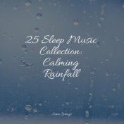 25 Sleep Music Collection: Calming Rainfall