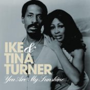 You Are My Sunshine: The Best of Ike & Tina