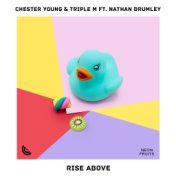 Rise Above (feat. Nathan Brumley)