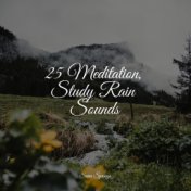 25 Meditation, Study Rain Sounds