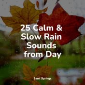 25 Calm & Slow Rain Sounds from Day