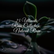 25 Ultimate Rain Collection: Natural Rain