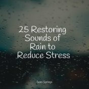 25 Restoring Sounds of Rain to Reduce Stress
