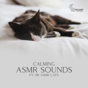 Calming ASMR Sounds, Pt. 08 (ASMR Cats, Hush Hush Nighty Night with Cats Purring, Deep Sleep with ASMR, Sound Effects Pleasure T...
