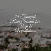 25 Tranquil Rain Sounds for Sleep & Mindfulness