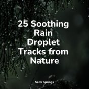 25 Soothing Rain Droplet Tracks from Nature