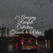 25 Amazing Rainfall Collection: Sounds to Relax