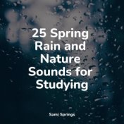 25 Spring Rain and Nature Sounds for Studying