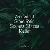 25 Calm & Slow Rain Sounds Stress Relief