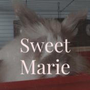 Sweet Marie