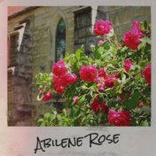 Abilene Rose