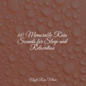 60 Memorable Rain Sounds for Sleep and Relaxation