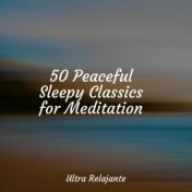 50 Peaceful Sleepy Classics for Meditation