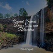 Ambient Sounds | Deep Sleep and Relaxation