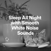 Sleep All Night with Smooth White Noise Sounds