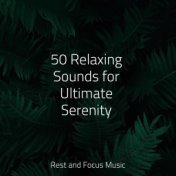50 Relaxing Sounds for Ultimate Serenity