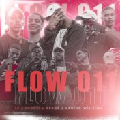 Flow 011