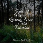 Sounds of Nature | Affirming Music | Total Relaxation