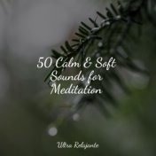 50 Calm & Soft Sounds for Meditation