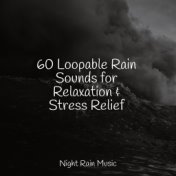 60 Loopable Rain Sounds for Relaxation & Stress Relief