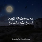 Soft Melodies to Soothe the Soul
