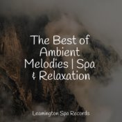 The Best of Ambient Melodies | Spa & Relaxation