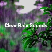 Clear Rain Sounds