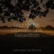 50 New Age Yoga Sounds for Ultimate Spa Relaxation