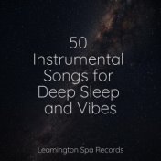 50 Instrumental Songs for Deep Sleep and Vibes