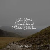 The Bliss Compilation of Nature Collection