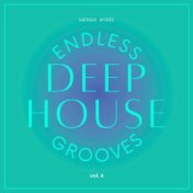 Endless Deep-House Grooves, Vol. 4