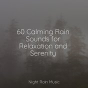 60 Calming Rain Sounds for Relaxation and Serenity