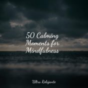 50 Calming Moments for Mindfulness