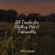 50 Tracks for Chilling Out & Tranquility