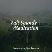 Fall Sounds | Meditation