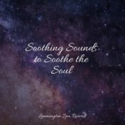 Soothing Sounds to Soothe the Soul