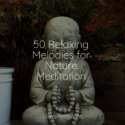 50 Relaxing Melodies for Nature Meditation