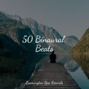 50 Binaural Beats