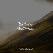 Wellness Meditation