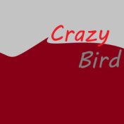 Crazy Bird