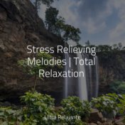 Stress Relieving Melodies | Total Relaxation