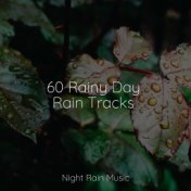 60 Rainy Day Rain Tracks