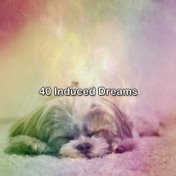 40 Induced Dreams