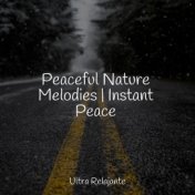 Peaceful Nature Melodies | Instant Peace