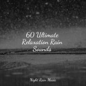 60 Ultimate Relaxation Rain Sounds